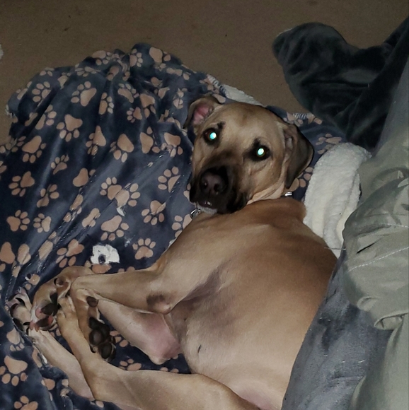 Meet your Posher, Jamie - Picture 4 of 4